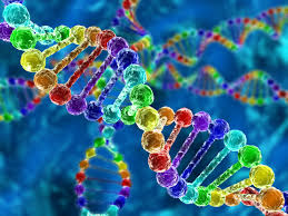 ژنومیک ، نسل جدید تعیین سریع و کم هزینه توالی ژنی